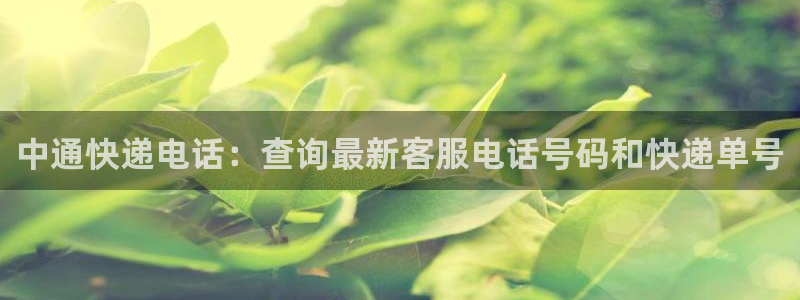 28圈入口问一问