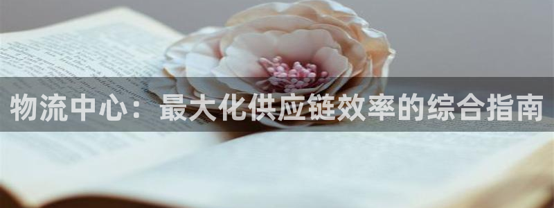 28圈自行车图片：物流中心：最大化供