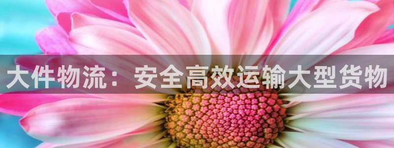 28圈推广链接是多少粉丝