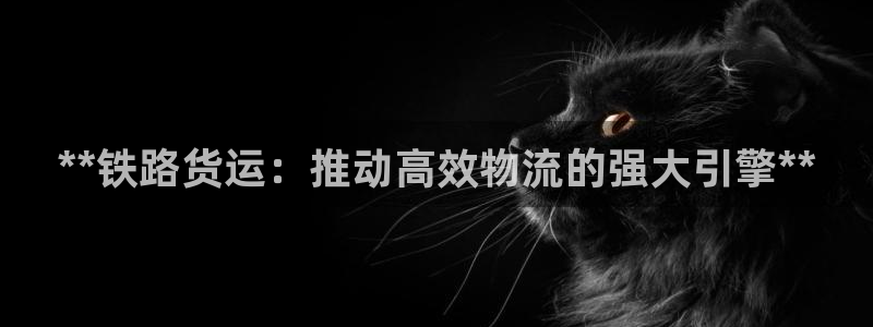 28圈官方版正版