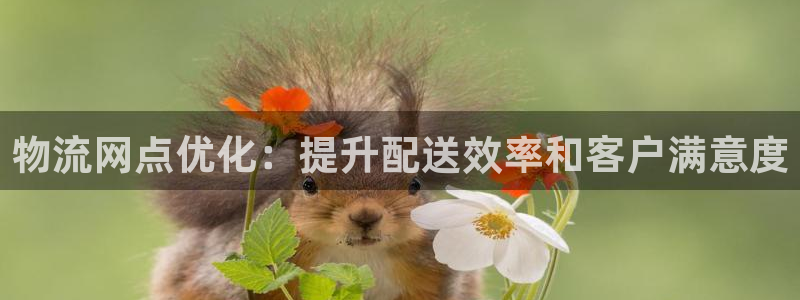 28圈官网版所有版本