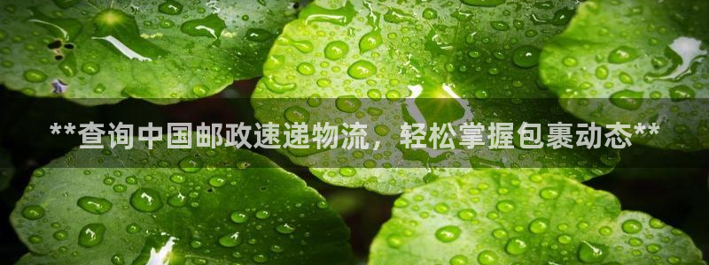 28圈注册网站链接是什么：**查询中