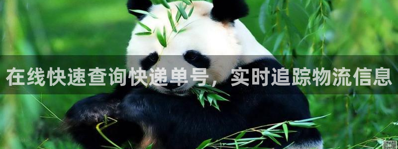 28圈p扣除是什么意思