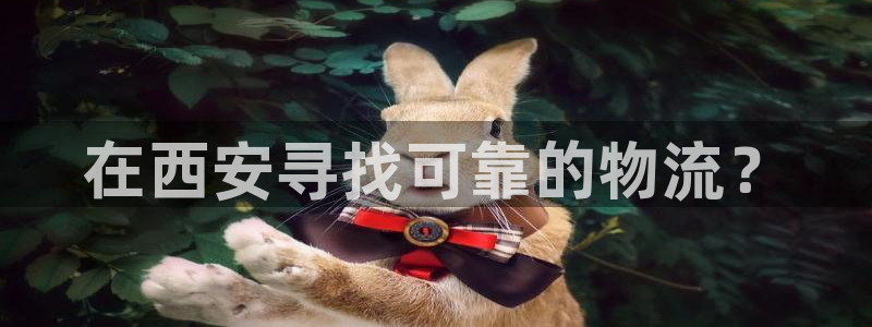 28圈官网平台下载