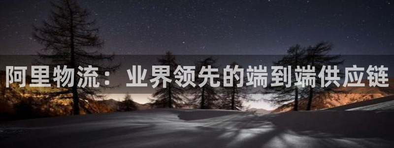 28圈充值不到账什么原因