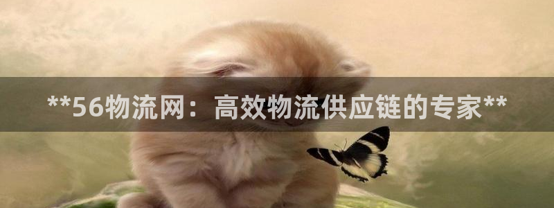 28圈玩法