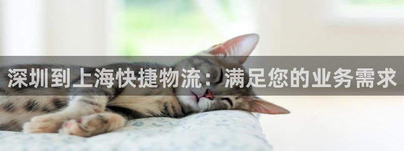 28圈那个才是充值账号