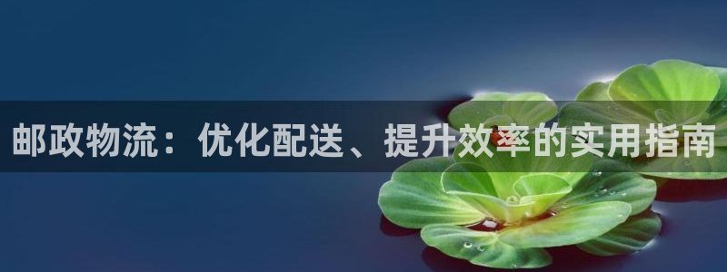 28圈分分28输了能不能退：邮政物流