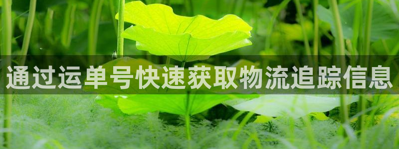 28圈如何退款