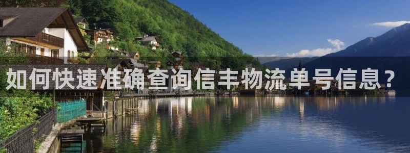28圈官网平台：如何快速准确查询信丰