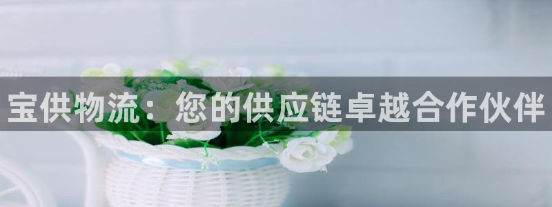 28圈游戏官网版