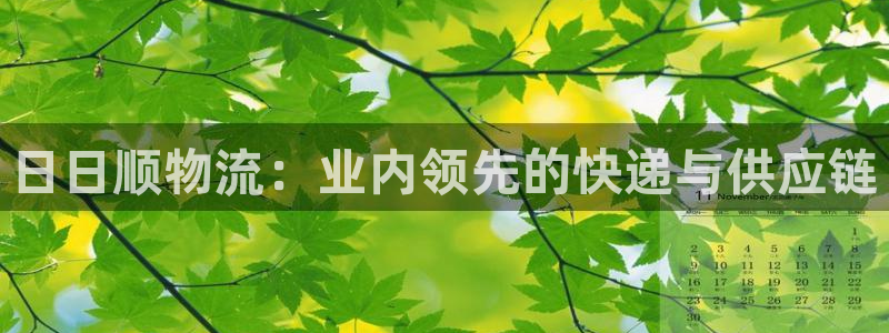 28圈p扣除是什么意思