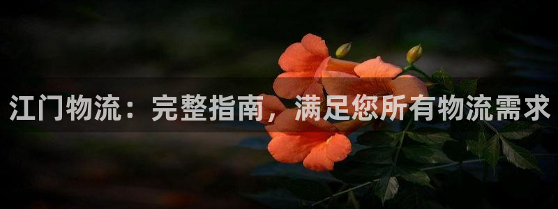 28圈反水什么时候到：江门物流：完整