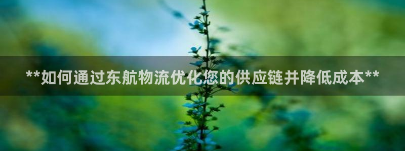 28圈正规吗