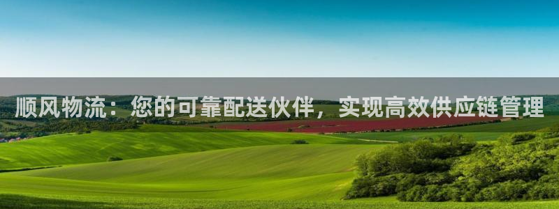 28圈体育下载