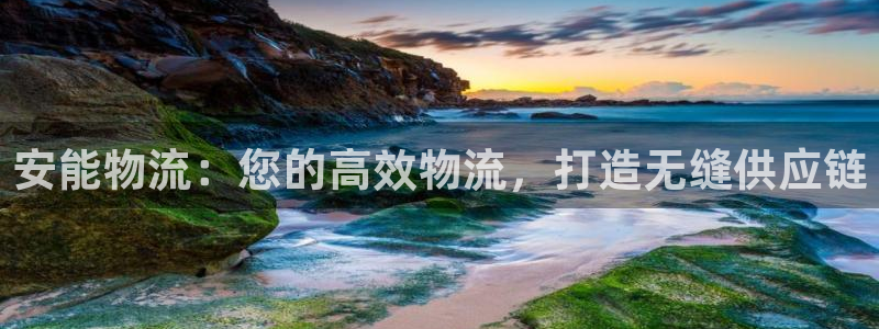 28圈加拿大开奖：安能物流：您的高效