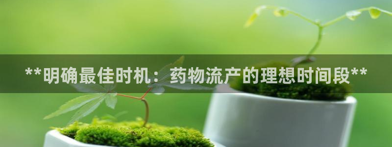 28圈软件有什么用