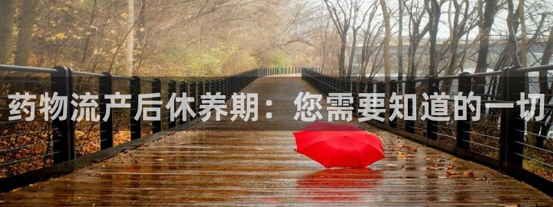 28圈是南宫旗下的吗