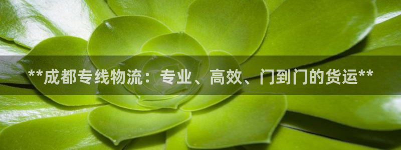 28圈官网链接