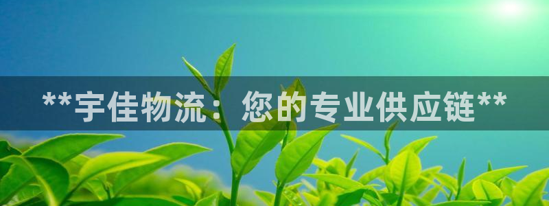 28圈ccm游戏