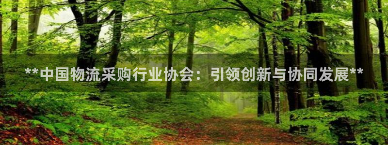 28圈圈