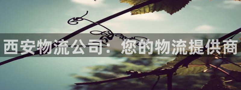 28圈忘记账号：西安物流公司：您的物
