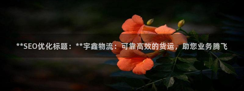 28圈入口问一问：**SEO优化标题