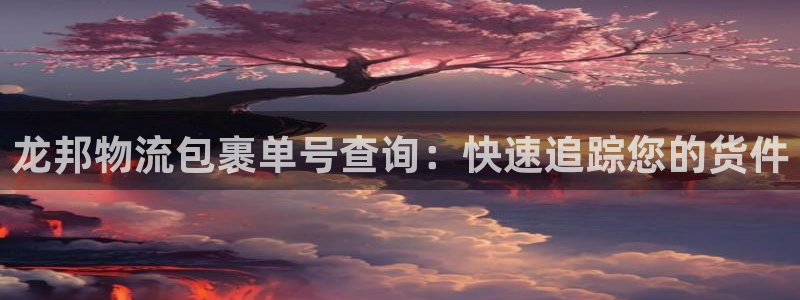 28圈在线预测官网：龙邦物流包裹单号