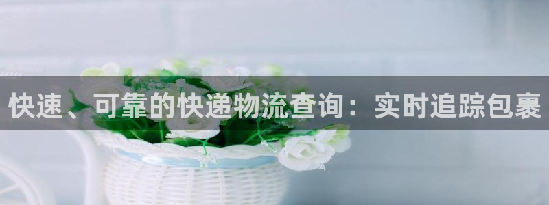 28圈注册链接教程：快速、可靠的快递
