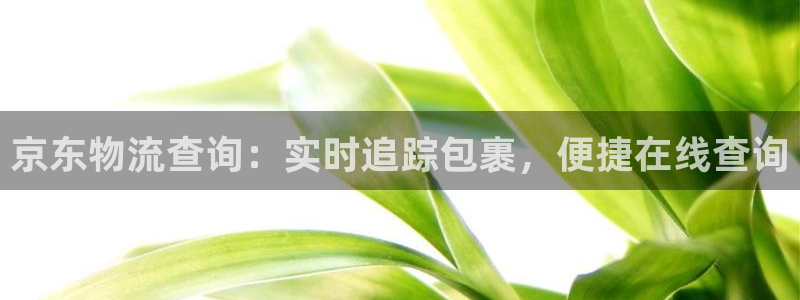 28圈加拿大pc预测