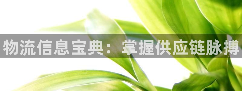 28圈免费充钱