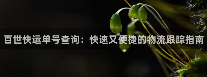28圈加拿大是什么
