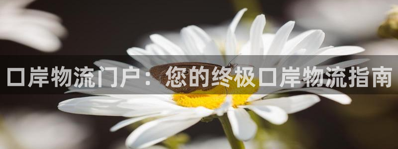 28圈PG电子游戏