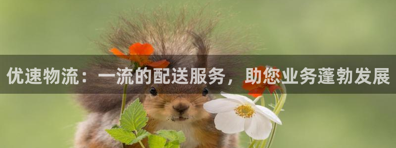 28圈相信品牌的力量
