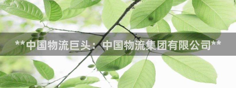 28圈电子