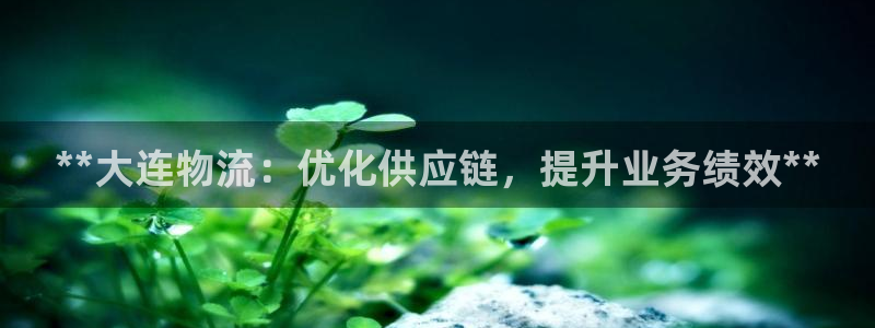 28圈是正规平台吗