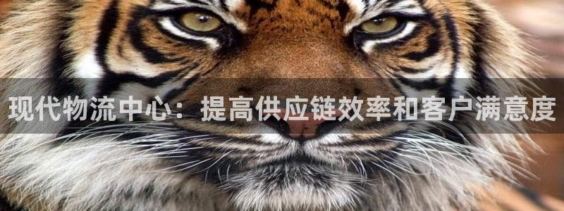 28圈推广链接是多少钱一个