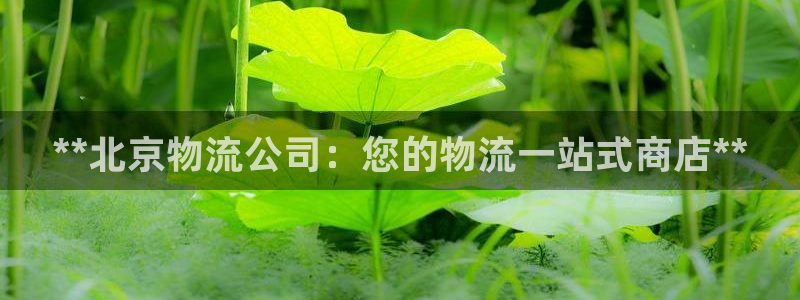 28圈麻将