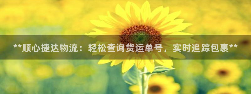 28圈aPP退款