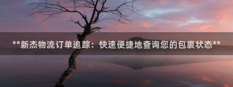 28圈充值不到账怎么办