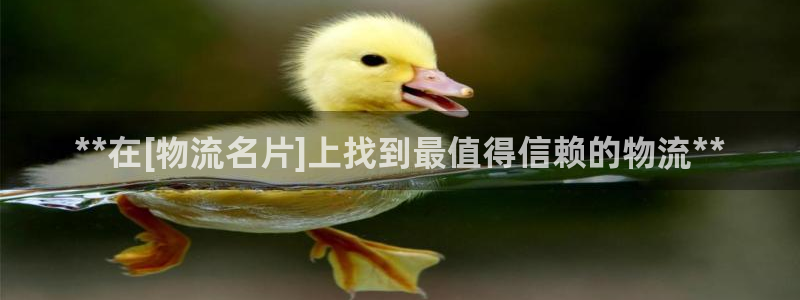 28圈登陆网