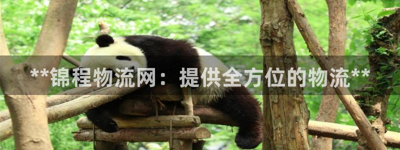 28圈口内径是多大
