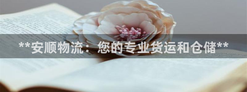 28圈昵称