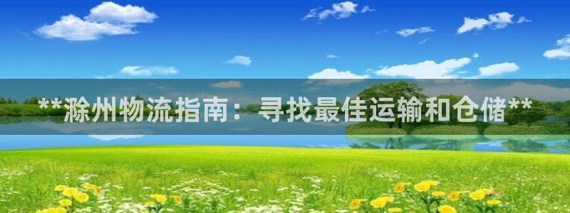 28圈开奖预测
