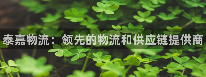 28圈游戏最新版