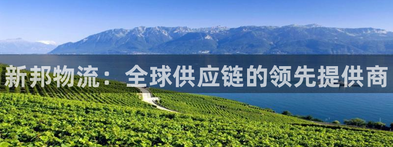 28圈v6能卖多少