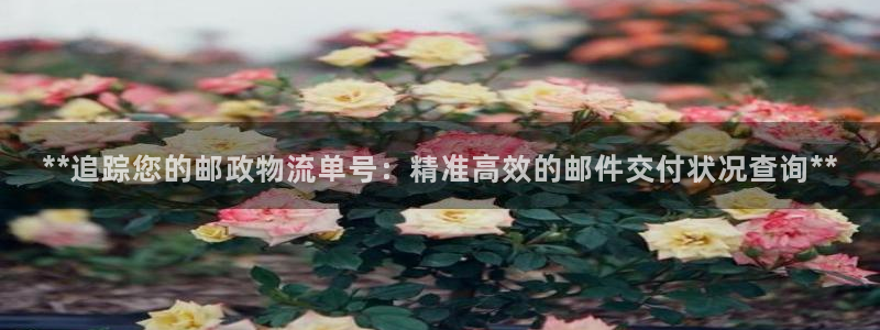 28圈加拿大技巧