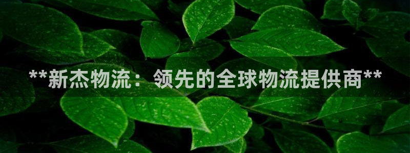 28圈下载链接是多少：**新杰物流：