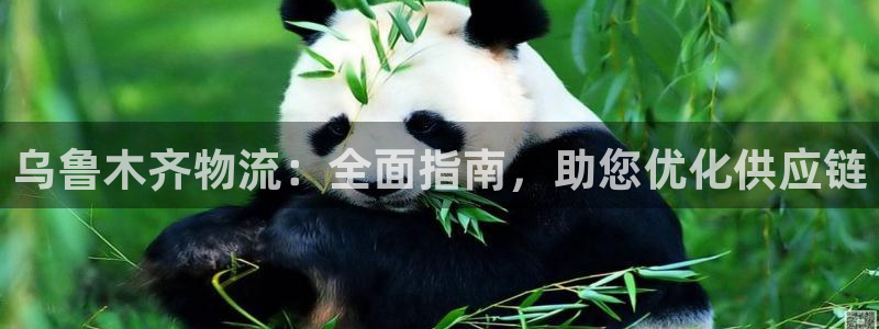 28圈连接