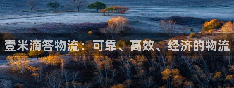 加拿大28圈注册链接：壹米滴答物流：